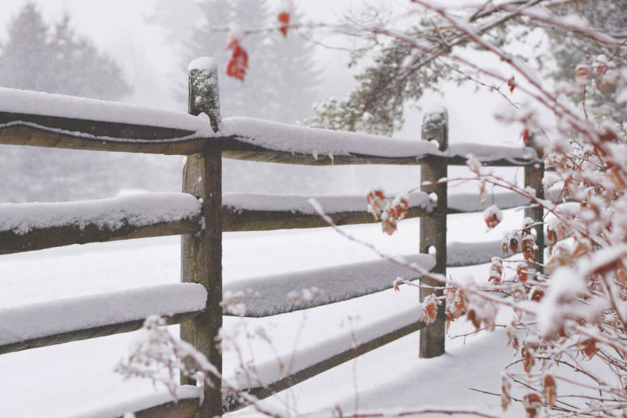 Picture of a snow covered fence in winter